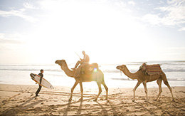 Trip Casablanca to Marrakech 4 Days/ 3 Night