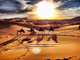 Tour desdes Fez a Merzouga 2 Días/1 Noches